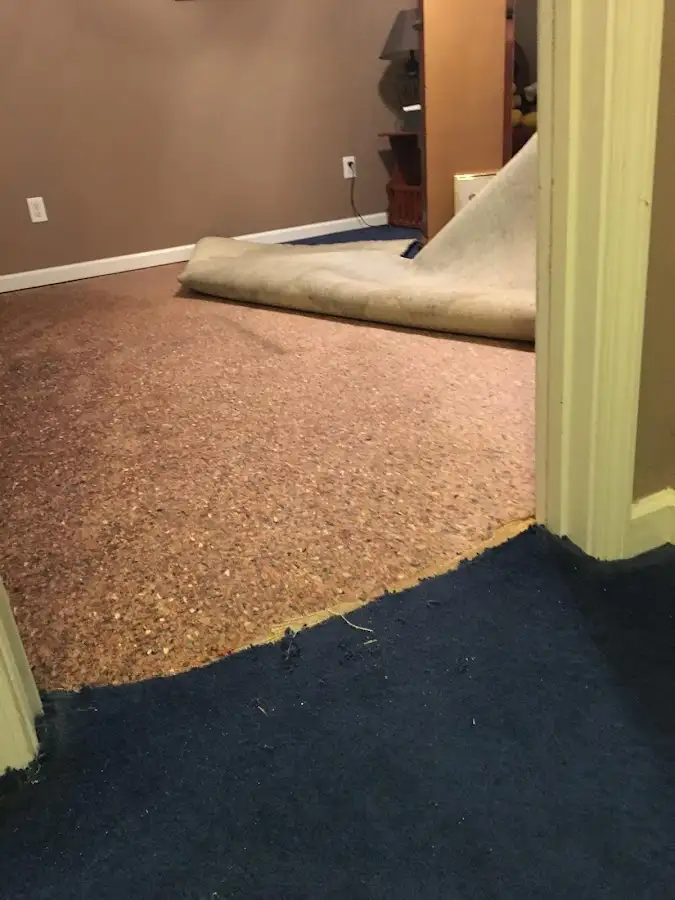 Carpet pad removal revealing water damage during Water Mitigation Services in Walled Lake