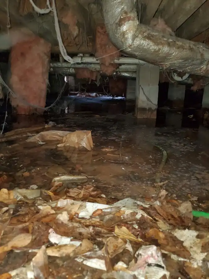 Crawl space flood assessment for Leak Detection & Repair in Walled Lake