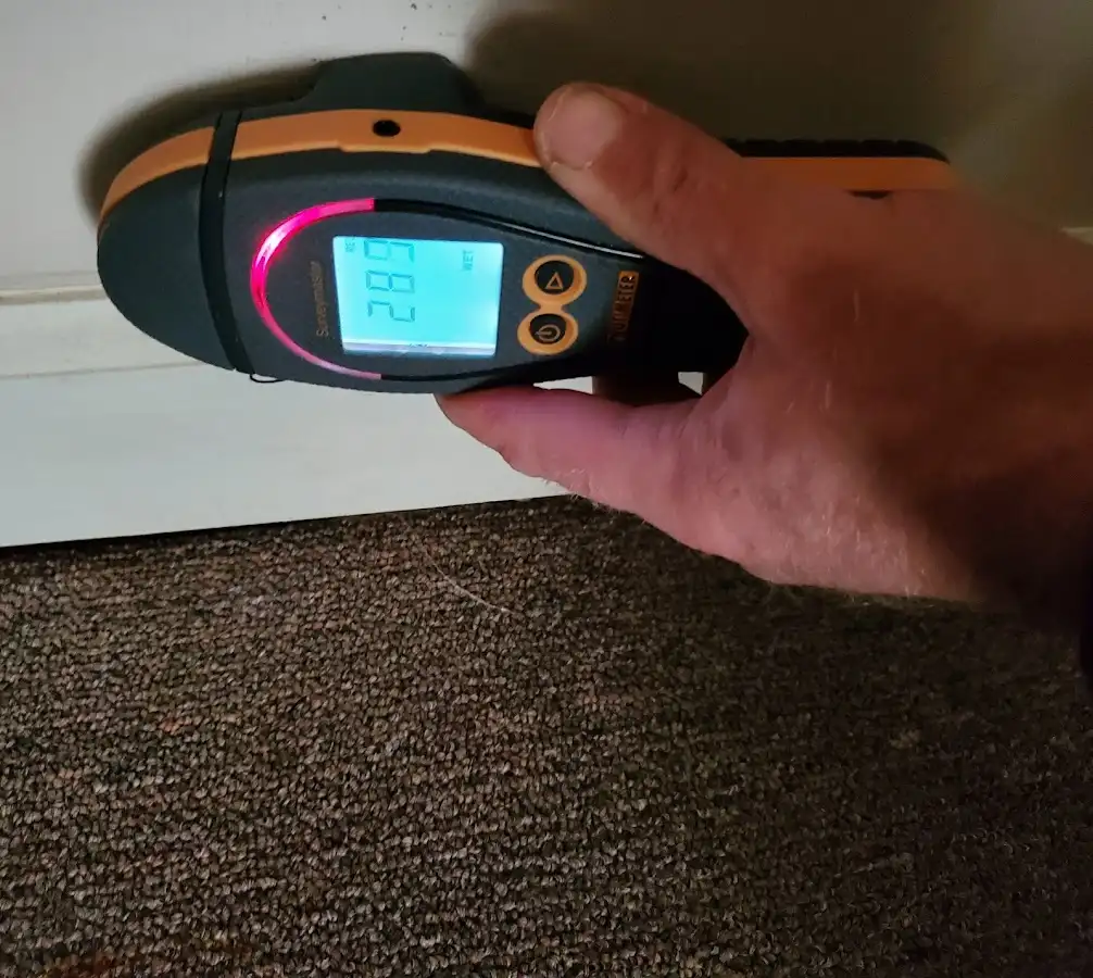 Moisture detection at baseboard during Sewage Cleanup & Sanitation in Walled Lake
